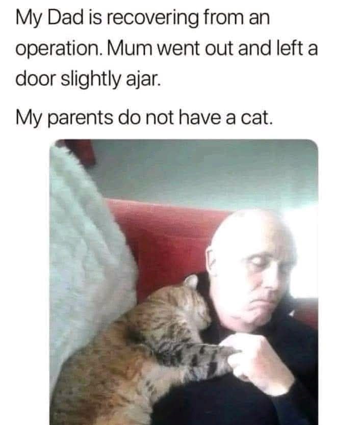 My Dad is recovering from an operation. Mum went out and left a door slightly ajar. My parents do not have a cat.