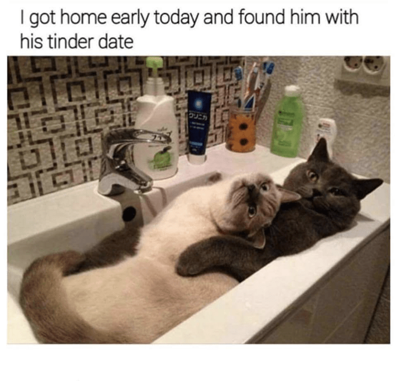 I got home early today and found him with his tinder date C クリニカ