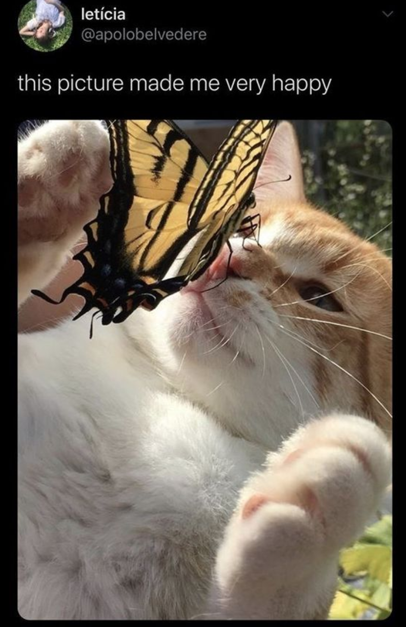 letícia @apolobelvedere this picture made me very happy