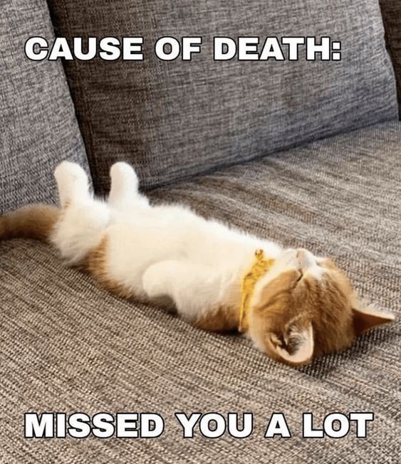 CAUSE OF DEATH: MISSED YOU A LOT