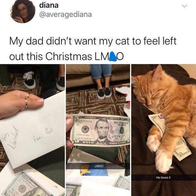 Feliz Davidact diana @averagediana My dad didn't want my cat to feel left out this Christmas LM O 100 LO617381ONA Pan: Gus 204 MA592745158 41 NAS FIVE DOLLARS LMAO 4XDU He loves it