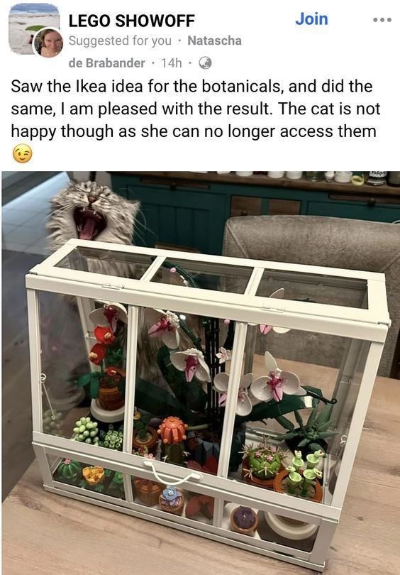 LEGO SHOWOFF Suggested for you ⚫ Natascha de Brabander ⚫ 14h. Join Saw the Ikea idea for the botanicals, and did the same, I am pleased with the result. The cat is not happy though as she can no longer access them