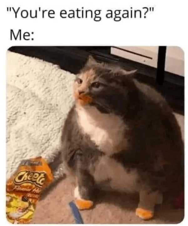 "You're eating again?" Me: Chepte Femin