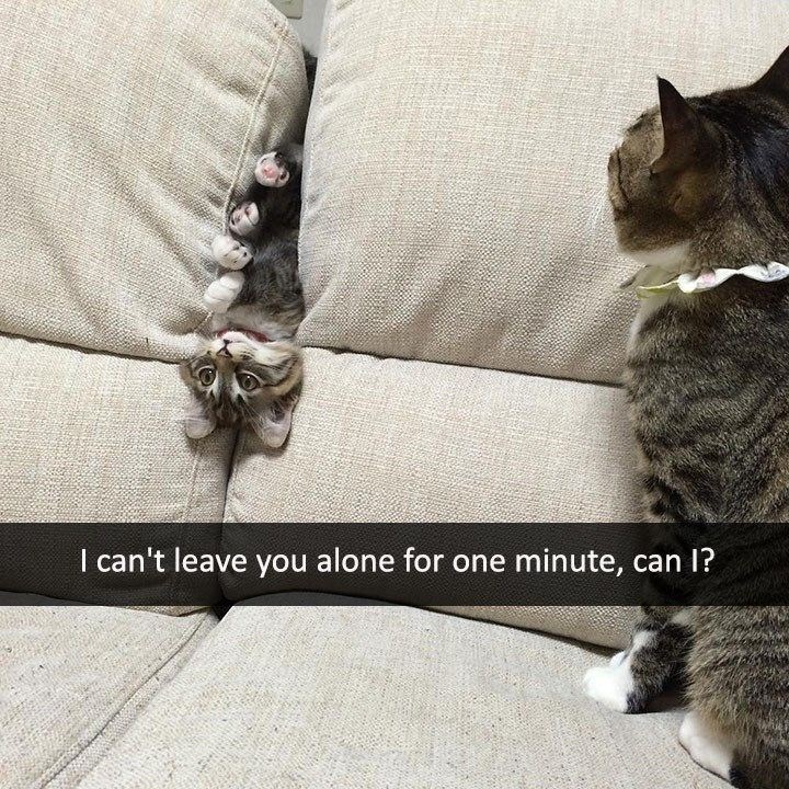 I can't leave you alone for one minute, can I?
