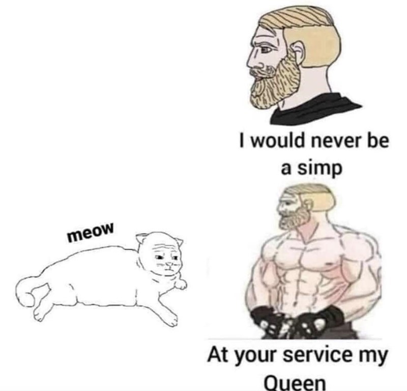 meow I would never be a simp At your service my Queen