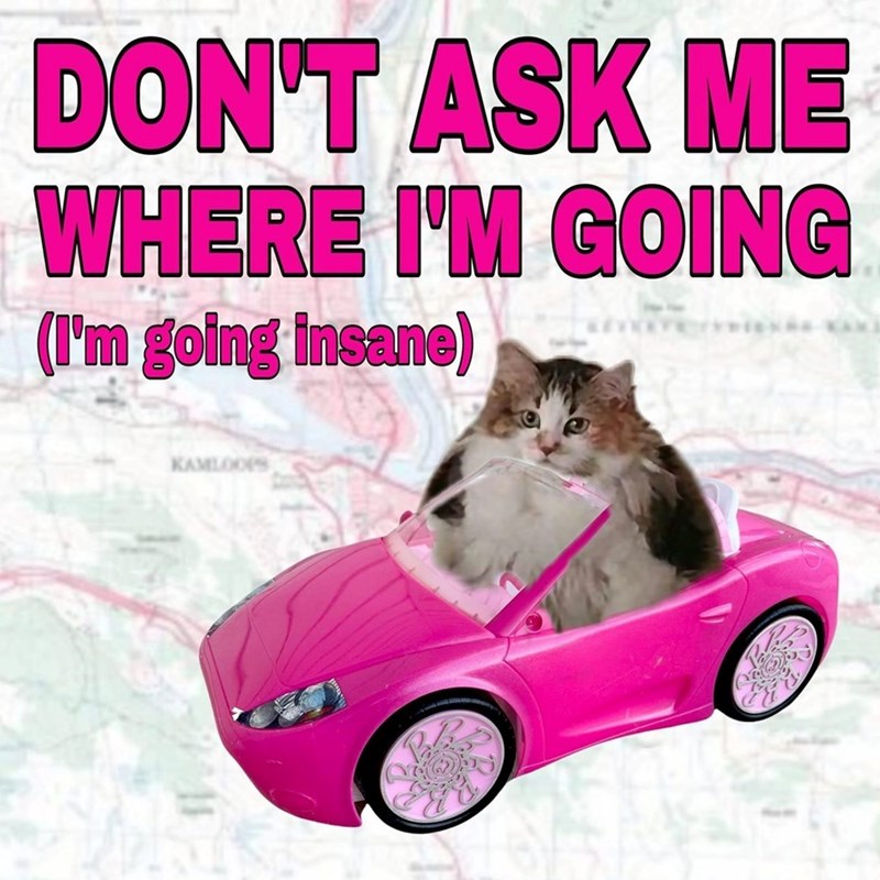 DON'T ASK ME WHERE I'M GOING (I'm going insane) KAMLOOPS