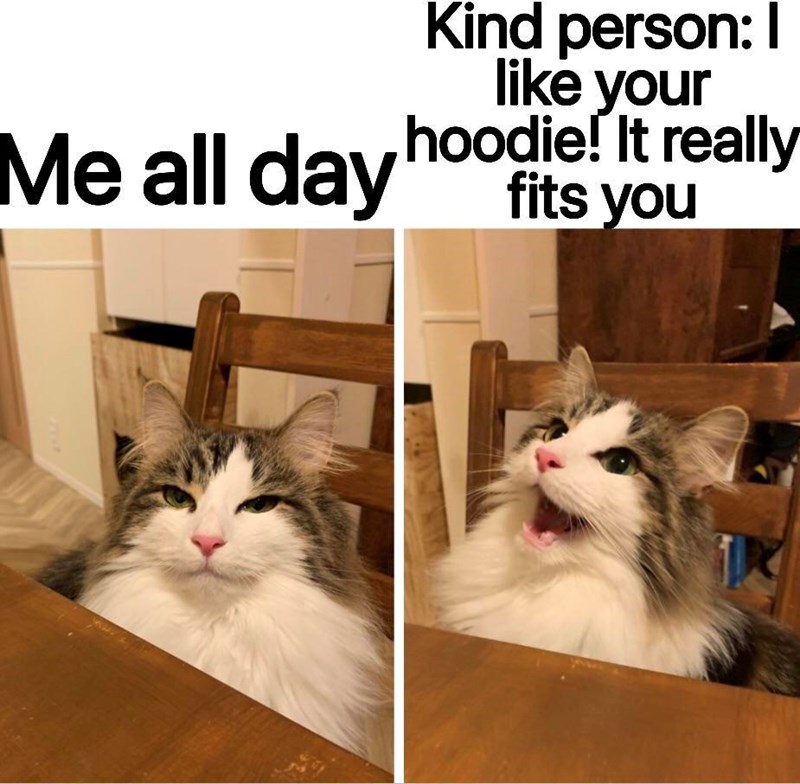 Me all day Kind person: I like your hoodie! It really fits you