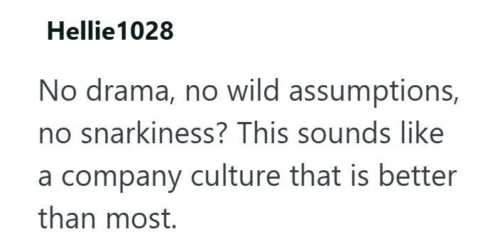 Hellie1028 No drama, no wild assumptions, no snarkiness? This sounds like a company culture that is better than most.