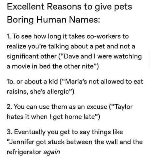 Excellent Reasons to give pets Boring Human Names: 1. To see how long it takes co-workers to realize you're talking about a pet and not a significant other ("Dave and I were watching a movie in bed the other nite") 1b. or about a kid ("Maria's not allowed to eat raisins, she's allergic") 2. You can use them as an excuse ("Taylor hates it when I get home late") 3. Eventually you get to say things like "Jennifer got stuck between the wall and the refrigerator again