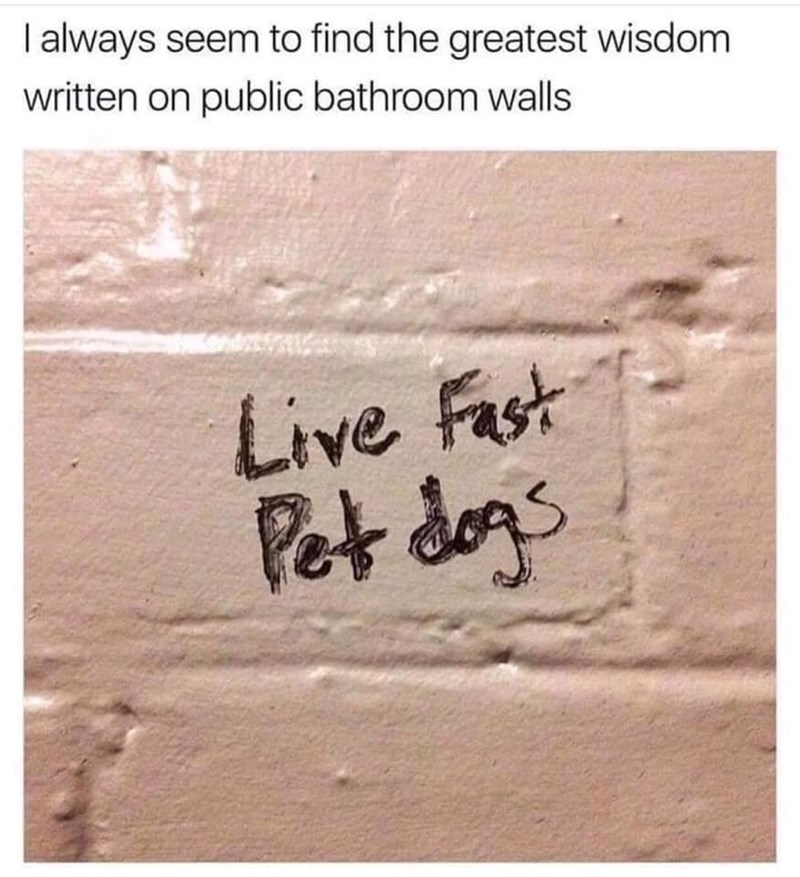 I always seem to find the greatest wisdom. written on public bathroom walls Live Fast Pet dogs