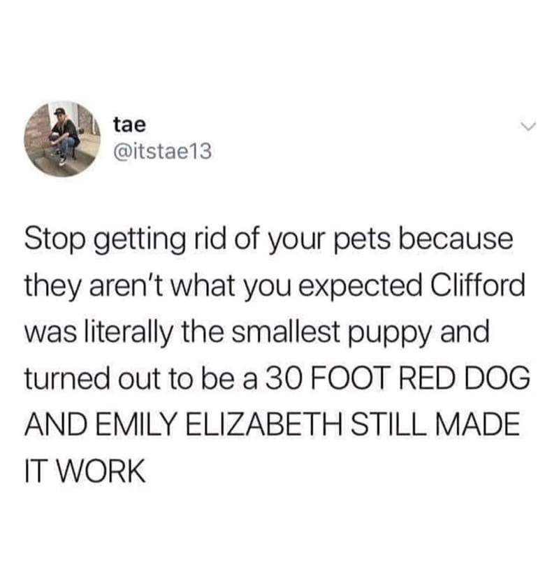 tae @itstae13 Stop getting rid of your pets because they aren't what you expected Clifford was literally the smallest puppy and turned out to be a 30 FOOT RED DOG AND EMILY ELIZABETH STILL MADE IT WORK