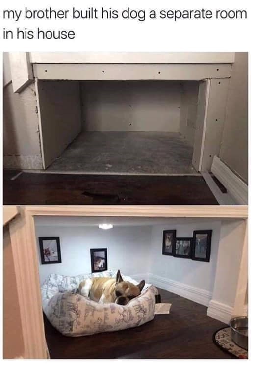 my brother built his dog a separate room in his house
