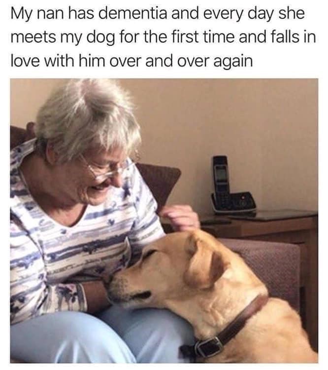 My nan has dementia and every day she meets my dog for the first time and falls in love with him over and over again