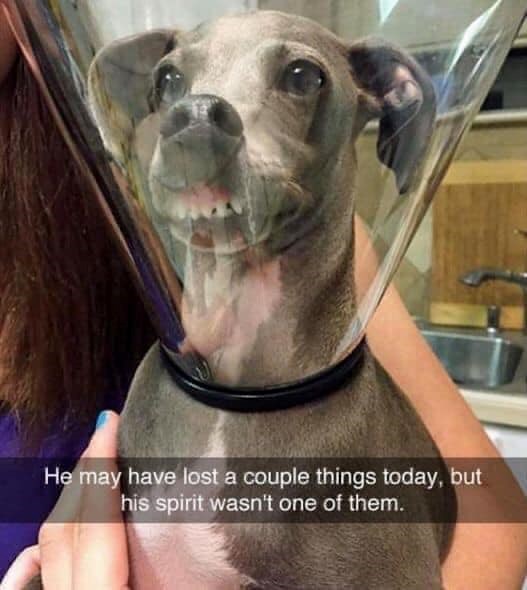 He may have lost a couple things today, but his spirit wasn't one of them.