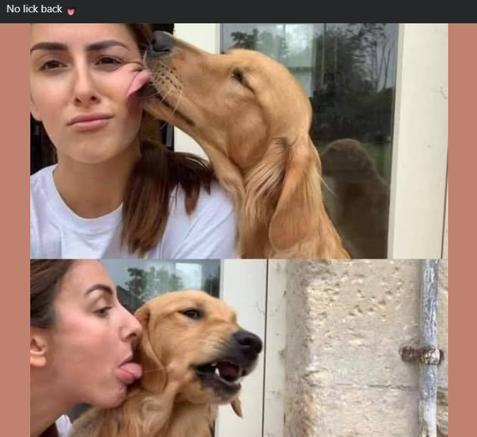 No lick back