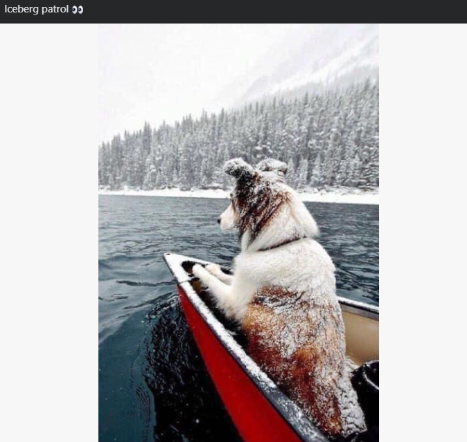 Iceberg patrol ɔɔ