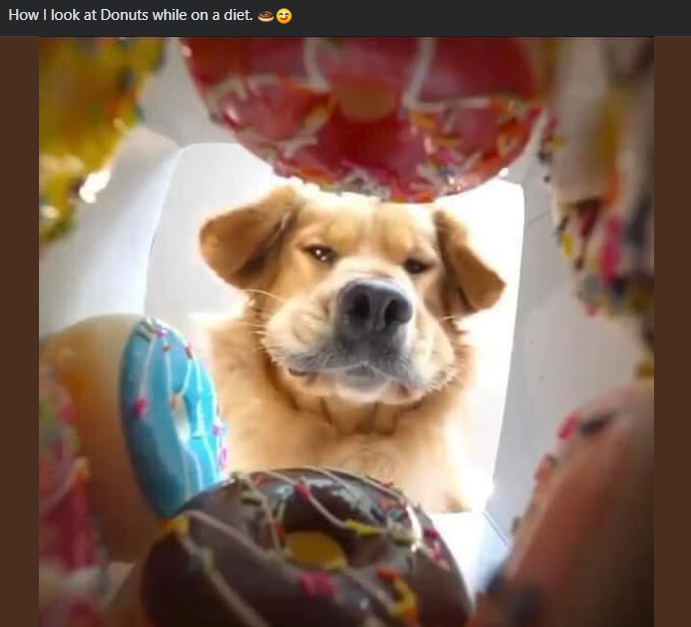 How I look at Donuts while on a diet.