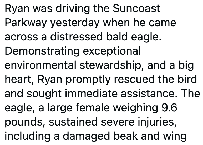 Ryan was driving the Suncoast Parkway yesterday when he came across a distressed bald eagle. Demonstrating exceptional environmental stewardship, and a big heart, Ryan promptly rescued the bird and sought immediate assistance. The eagle, a large female weighing 9.6 pounds, sustained severe injuries, including a damaged beak and wing