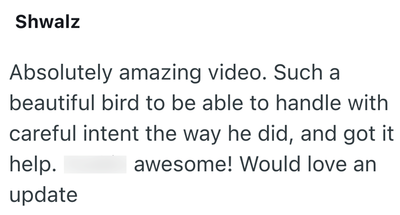 Shwalz Absolutely amazing video. Such a beautiful bird to be able to handle with careful intent the way he did, and got it awesome! Would love an help. update