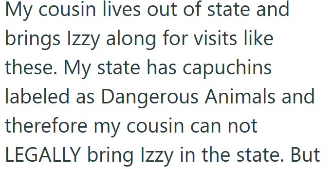 My cousin lives out of state and brings Izzy along for visits like these. My state has capuchins labeled as Dangerous Animals and therefore my cousin can not LEGALLY bring Izzy in the state. But