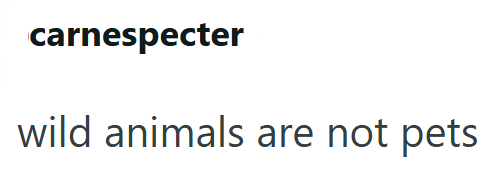 carnespecter wild animals are not pets