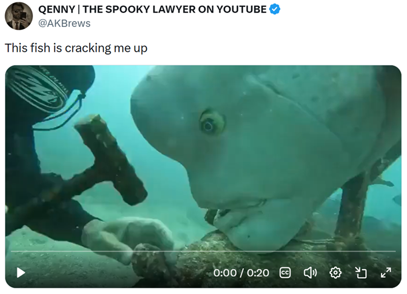 QENNY | THE SPOOKY LAWYER ON YOUTUBE @AKBrews This fish is cracking me up 0:00 / 0:20 [CC] יט
