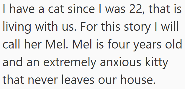 I have a cat since I was 22, that is living with us. For this story I will call her Mel. Mel is four years old and an extremely anxious kitty that never leaves our house.