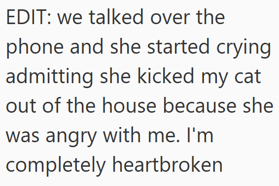  we talked over the phone and she started crying admitting she kicked my cat out of the house because she was angry with me. I'm completely heartbroken