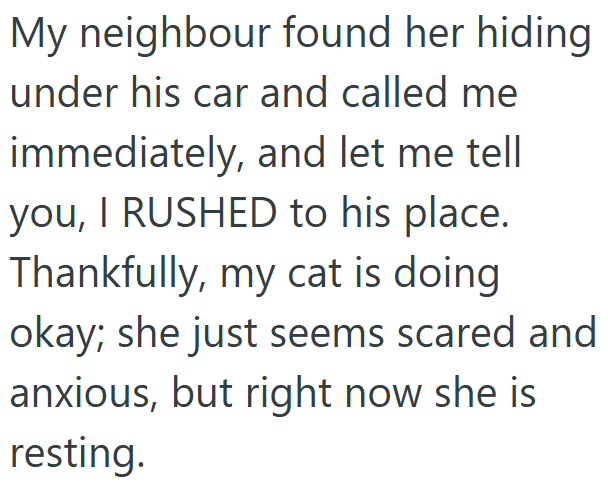 My neighbour found her hiding under his car and called me immediately, and let me tell you, I RUSHED to his place. Thankfully, my cat is doing okay; she just seems scared and anxious, but right now she is resting.