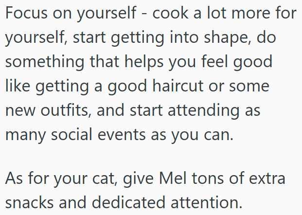 Focus on yourself - cook a lot more for yourself, start getting into shape, do something that helps you feel good like getting a good haircut or some new outfits, and start attending as many social events as you can. As for your cat, give Mel tons of extra snacks and dedicated attention.