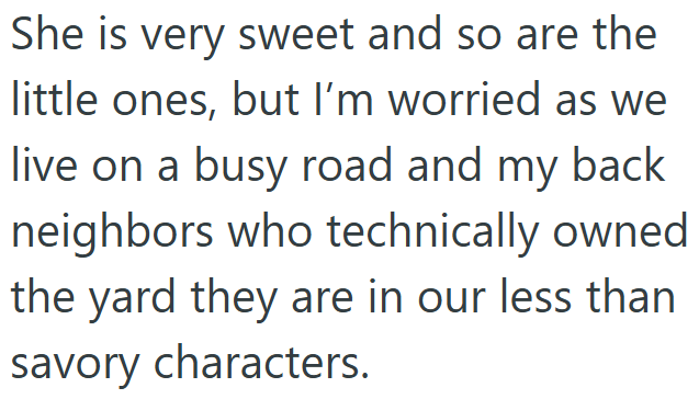 She is very sweet and so are the little ones, but I'm worried as we live on a busy road and my back neighbors who technically owned the yard they are in our less than savory characters.