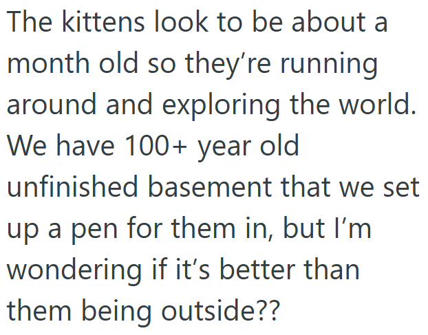 The kittens look to be about a month old so they're running around and exploring the world. We have 100+ year old unfinished basement that we set up a pen for them in, but I'm wondering if it's better than them being outside??