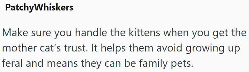 PatchyWhiskers Make sure you handle the kittens when you get the mother cat's trust. It helps them avoid growing up feral and means they can be family pets.