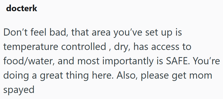 docterk Don't feel bad, that area you've set up is temperature controlled, dry, has access to food/water, and most importantly is SAFE. You're doing a great thing here. Also, please get mom spayed