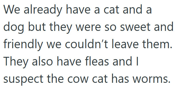 We already have a cat and a dog but they were so sweet and friendly we couldn't leave them. They also have fleas and I suspect the cow cat has worms.