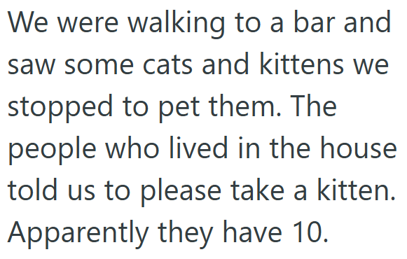 We were walking to a bar and saw some cats and kittens we stopped to pet them. The people who lived in the house told us to please take a kitten. Apparently they have 10.