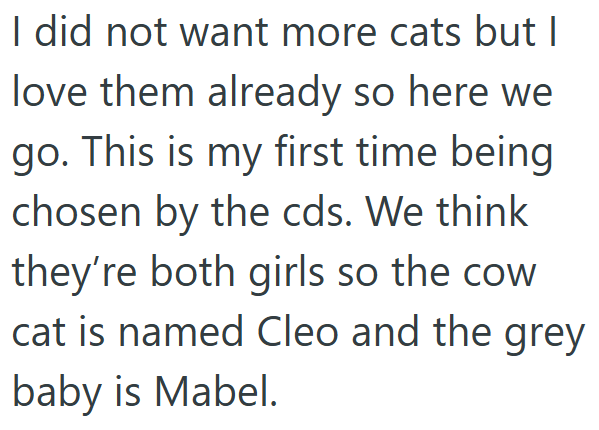 I did not want more cats but I love them already so here we go. This is my first time being chosen by the cds. We think they're both girls so the cow cat is named Cleo and the grey baby is Mabel.