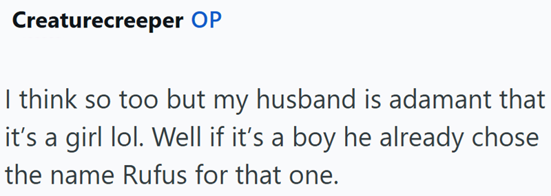 Creaturecreeper OP I think so too but my husband is adamant that it's a girl lol. Well if it's a boy he already chose the name Rufus for that one.