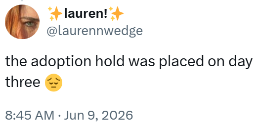 lauren!+ @laurennwedge the adoption hold was placed on day three 8:45 AM ⚫ Jun 9, 2026