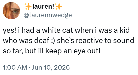 +lauren! @laurennwedge yes! i had a white cat when i was a kid who was deaf :) she's reactive to sound so far, but ill keep an eye out! 1:00 AM - Jun 10, 2026