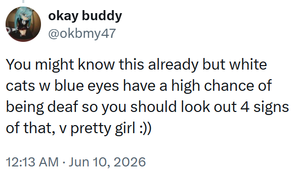 okay buddy @okbmy47 You might know this already but white cats w blue eyes have a high chance of being deaf so you should look out 4 signs of that, v pretty girl :)) 12:13 AM ⚫ Jun 10, 2026 .