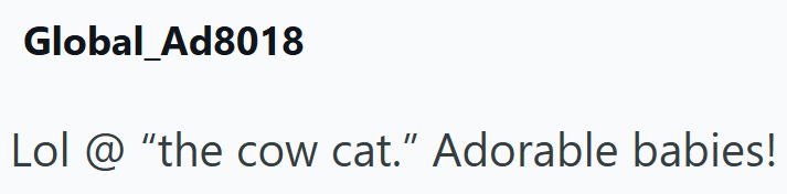 Global Ad8018 Lol @"the cow cat." Adorable babies!