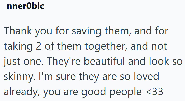 nnerObic Thank you for saving them, and for taking 2 of them together, and not just one. They're beautiful and look so skinny. I'm sure they are so loved already, you are good people <33