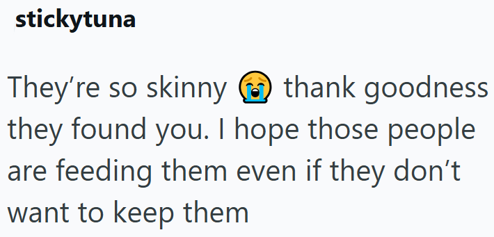 stickytuna They're so skinny thank goodness they found you. I hope those people are feeding them even if they don't want to keep them