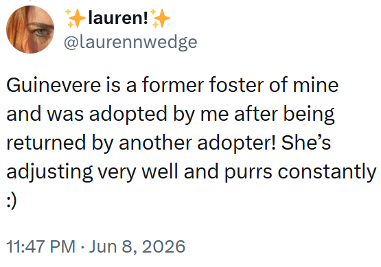 +lauren!+ @laurennwedge Guinevere is a former foster of mine and was adopted by me after being returned by another adopter! She's adjusting very well and purrs constantly :) 11:47 PM ⚫ Jun 8, 2026