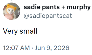sadie pants + murphy @sadiepantscat Very small 12:07 AM ⚫ Jun 9, 2026