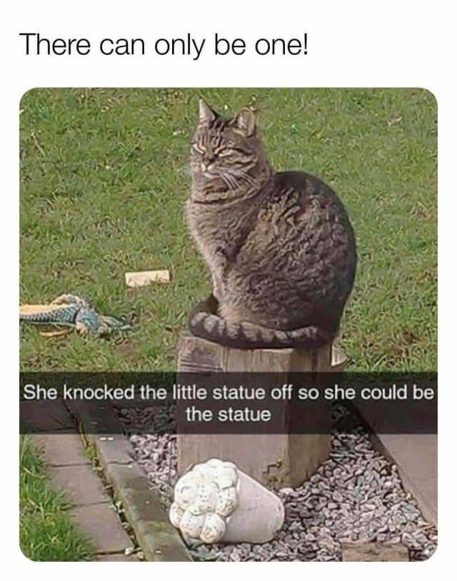 There can only be one! She knocked the little statue off so she could be the statue