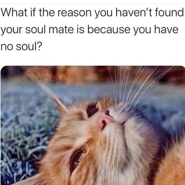 What if the reason you haven't found your soul mate is because you have no soul?