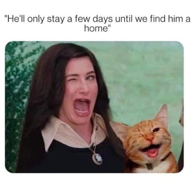 "He'll only stay a few days until we find him a home"