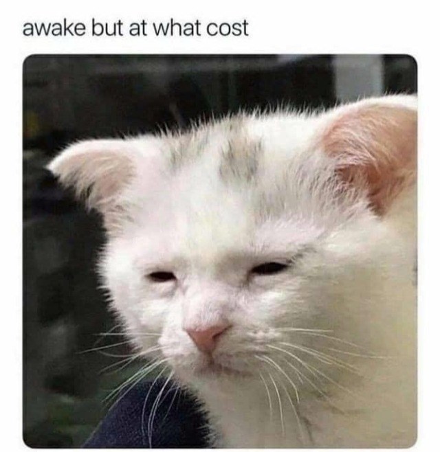 awake but at what cost